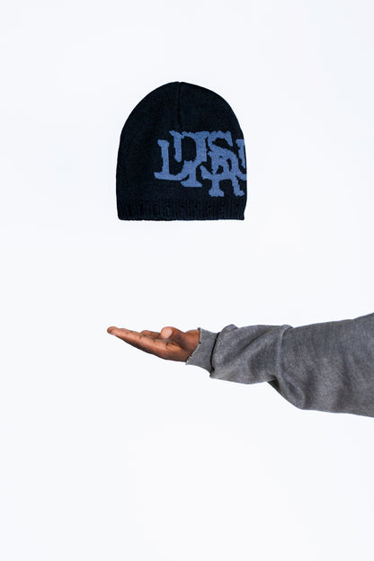 THE BEANIE - Disruptive Worldwide