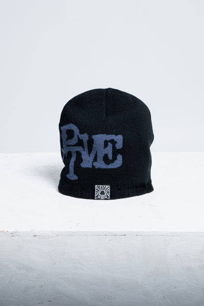 THE BEANIE - Disruptive Worldwide