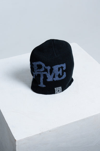 THE BEANIE - Disruptive Worldwide