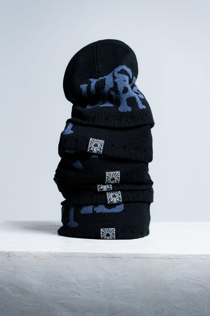 THE BEANIE - Disruptive Worldwide